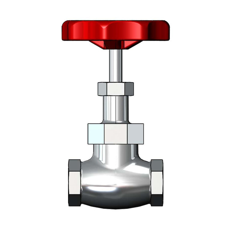 T&S Brass 006648-25 3/4" Globe Valve - Rough Chrome