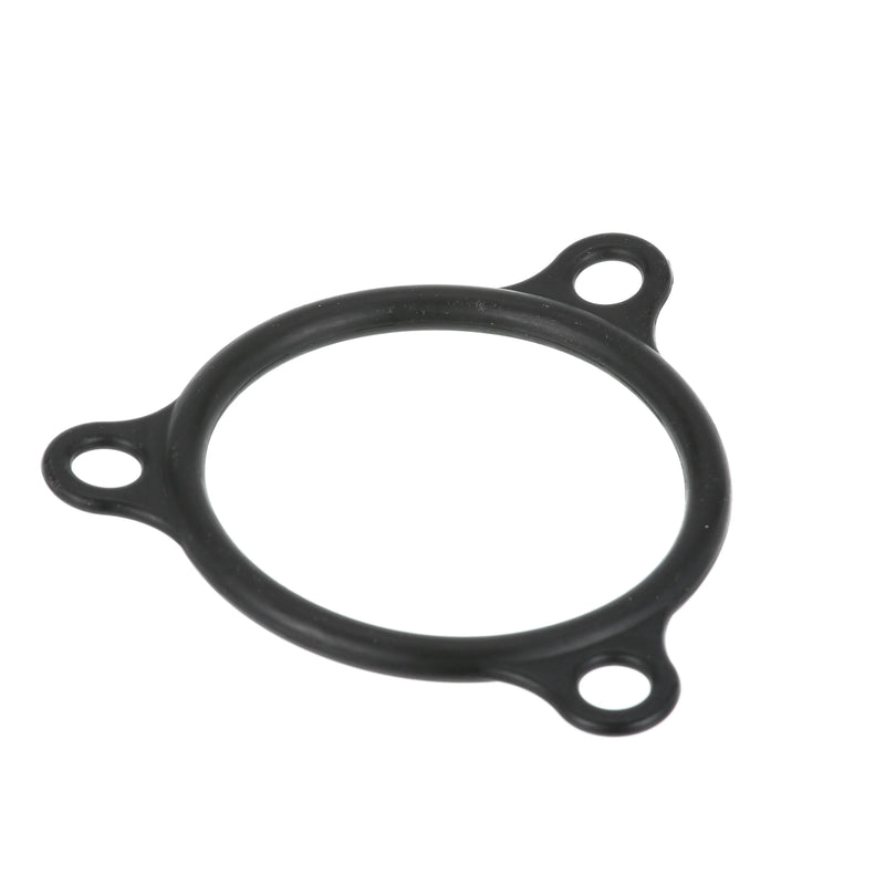 Champion Element Gasket - 109985