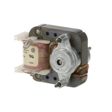 BB36-D Motor 120V