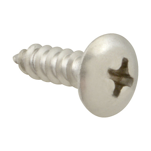 DFS Specialty Brand Sm/Th/Stainless Steel 100 Screw