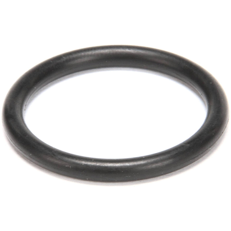 Hobart O Ring (AM14, AM15) - 00-067500-00012