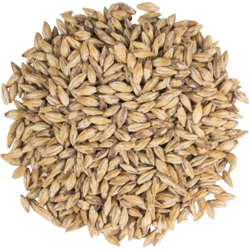 Briess Carapils® Malt - 10 lb Bag - Enhance Head & Body