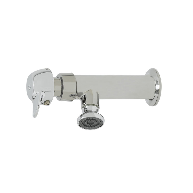 T&S Brass B-0800-PA Wash Sink Faucet - Pivot Action & Rosespray