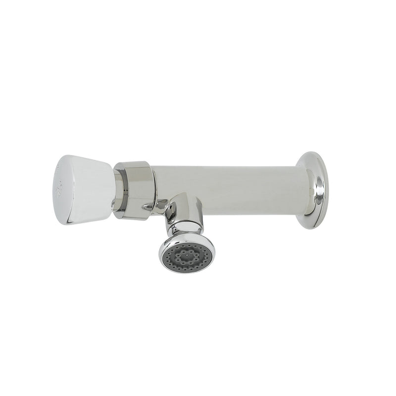 T&S Brass B-0800 Wash Sink Metering Faucet - Push-Button Handles Rose-Spray Outlet