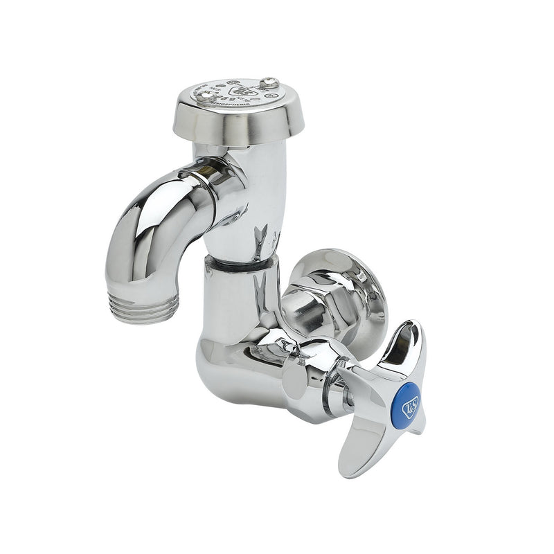 T&S Brass B-2301 Basin Sill Faucet - Single Temp & 3/4" Hose Outlet