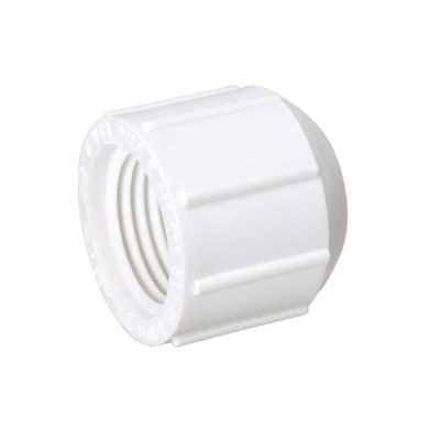 Charlotte 448-007 PVC Schedule 40 Fitting 3/4"
