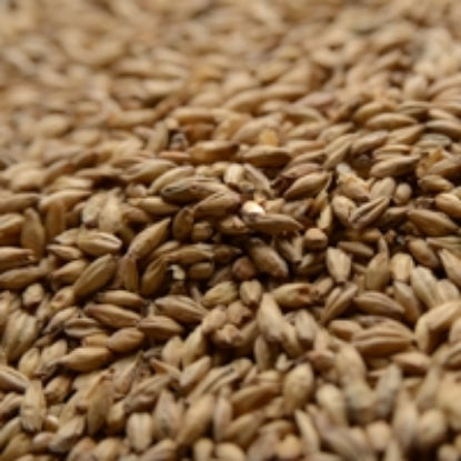 50lb 2-Row Briess Brewers Malt