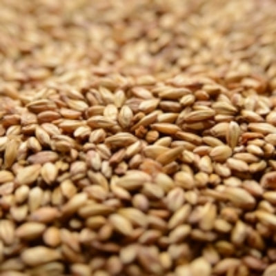 10lb Briess Caramel 10L 2-Row Malt