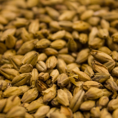 Weyermann® Barke® Vienna Malt - 55 lb Bulk Bag Heirloom Brewing Grain