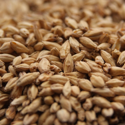 Rahr Pale Ale 2-Row Malt - 10 lb Bag Premium Base Grain