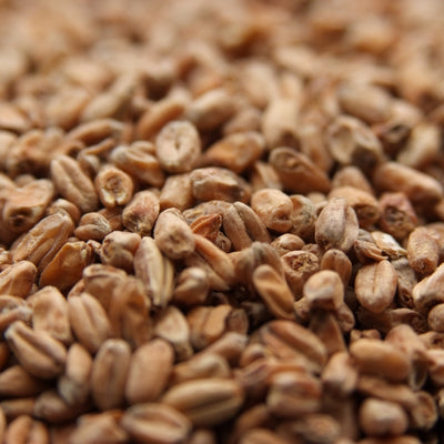 10lb Weyermann Dark Wheat Malt for Rich and Flavorful Dark Wheat Beers