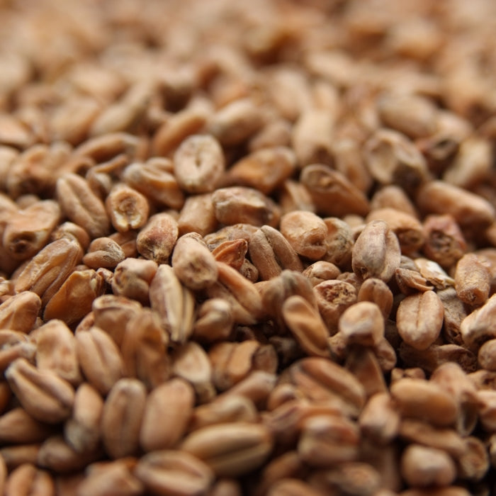 10lb Weyermann Dark Wheat Malt for Rich and Flavorful Dark Wheat Beers