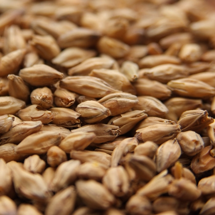 10lb Weyermann Beech Smoked Barley Malt