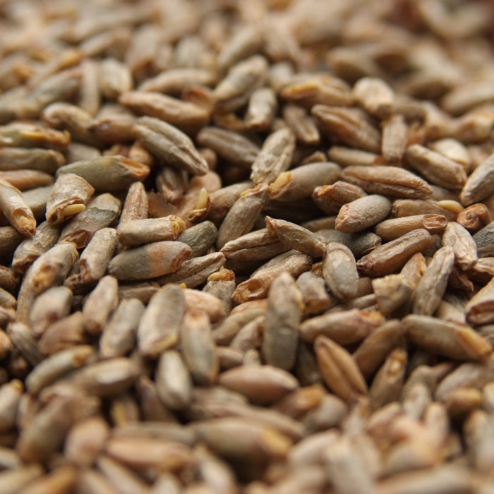 55lb Weyermann Weyermann Rye (Pale) Malt - Premium Quality Rye Malt for Distinctive Flavor in Your Brew