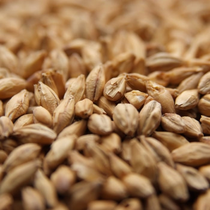 Weyermann® Carafoam® Specialty Malt - 10 lb Bag - Enhance Head & Body