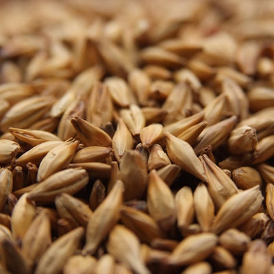 10lb Weyermann Carahell Malt for Adding Balanced Sweetness