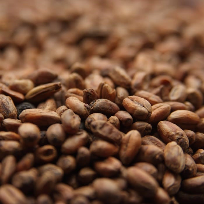 10lb Weyermann CaraWheat Malt - Perfect for Wheat Beers, Ales, and Adding Full-Body Flavor to Brews