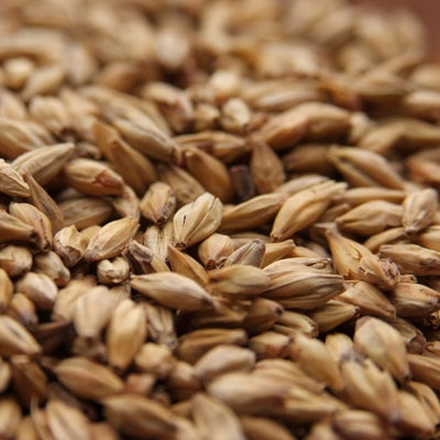 10lb Weyermann Melanoidin Malt - Specialty Malt for Improved Flavor and Aroma in Beer