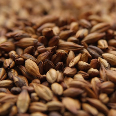 5lb Weyermann Munich Type 2 Dark - German Specialty Malt for Rich Malty Flavor and Aroma