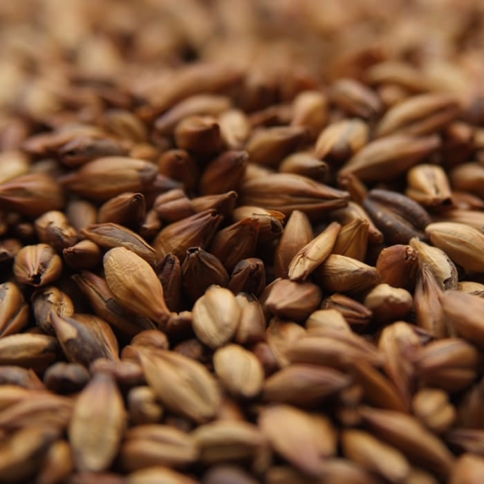 5lb Weyermann Munich Type 2 Dark - German Specialty Malt for Rich Malty Flavor and Aroma