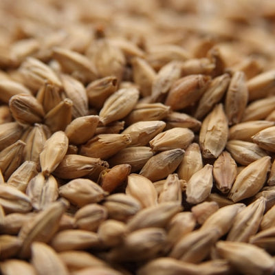 10lb Weyermann Vienna Malt - Ideal for Full-Bodied, Golden-Hued Beers