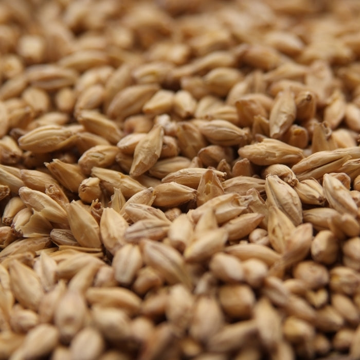 55lb Rahr Premium Pilsner Malt - American, Lager-Style Base Malt