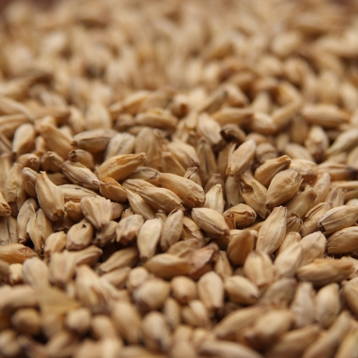 55lb 6-Row Premium High Enzyme Malt - Rahr Malting