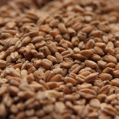 10lb Rahr Red Wheat Malt
