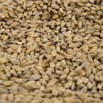 Gambrinus Munich Light 10L Malt - 55 lb. Bulk Bag