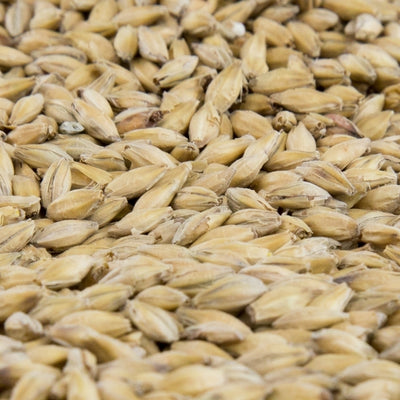 Gambrinus Vienna Malt - 10 lb Bag for Rich Amber Color & Nutty Flavor