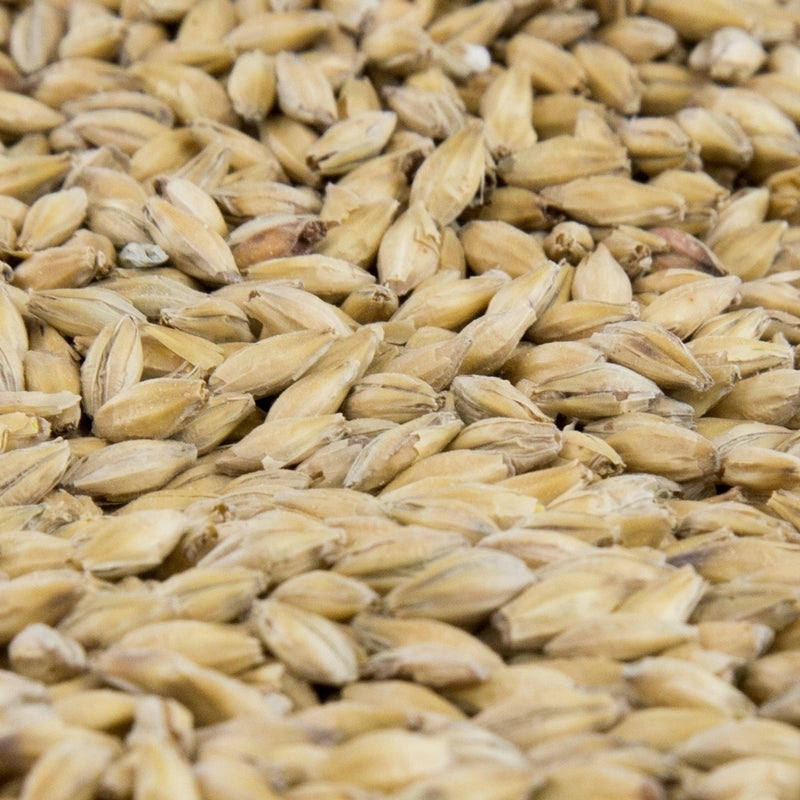 Gambrinus Vienna Malt - 10 lb Bag for Rich Amber Color & Nutty Flavor