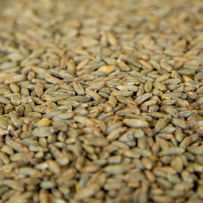 10lb Gambrinus Rye Malt