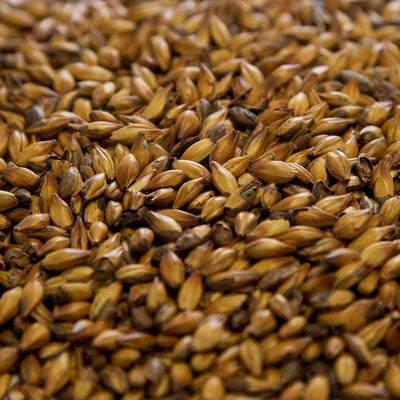 Dingemans Special B Malt - 10 lb Bag - Raisin & Plum notes