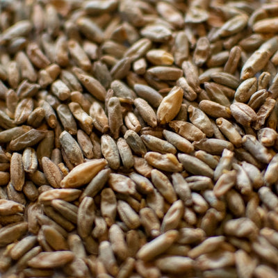 55lb Dingemans European Rye Malt
