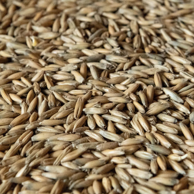 55lb Rahr Malted Oats - Enhance Foam Stability