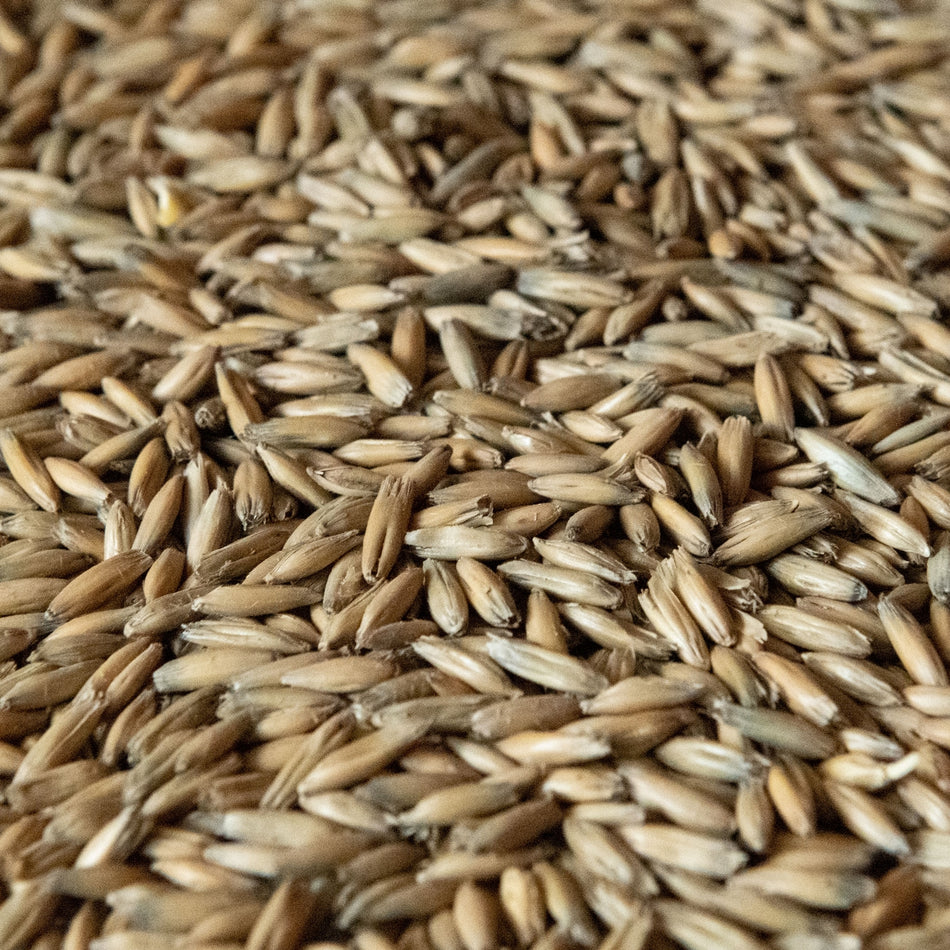 55lb Rahr Malted Oats - Enhance Foam Stability