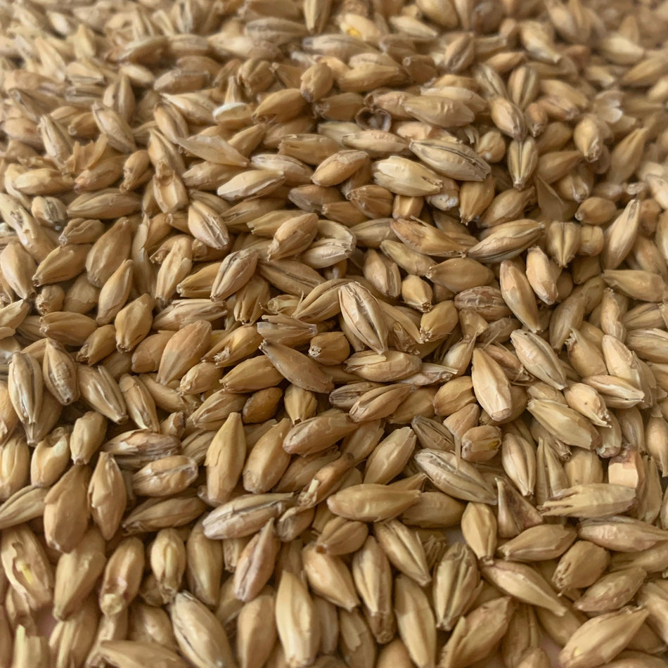 55lb Rahr North Star Pils Malt