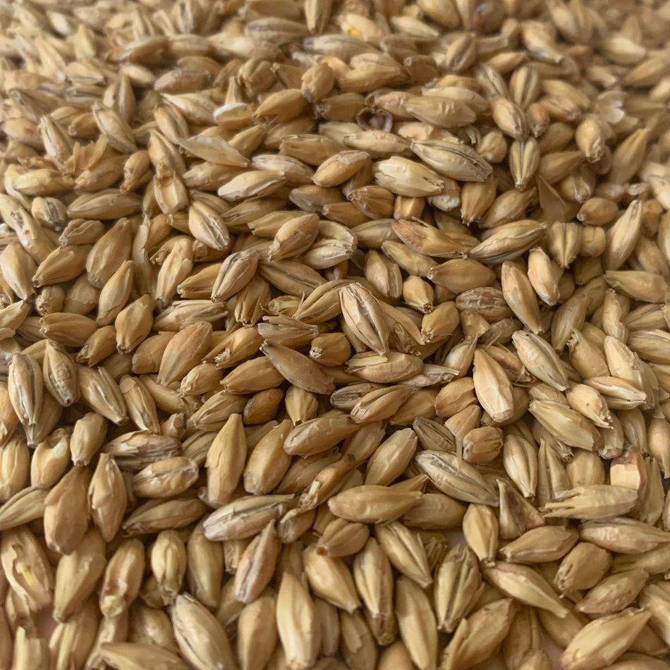 10lb Rahr North Star Pils Malt