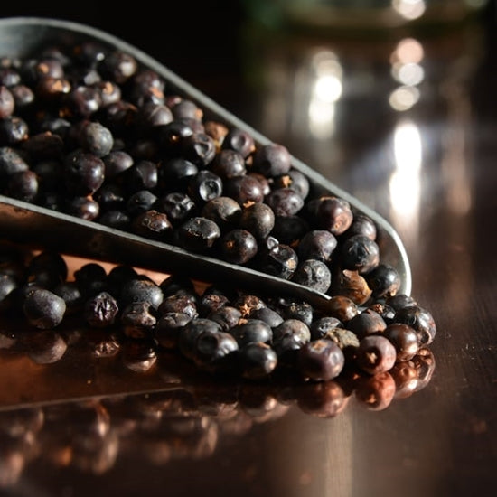 Blue Juniper Berries - 1 lb. Bulk Bag - Premium Gin & Beer Botanical