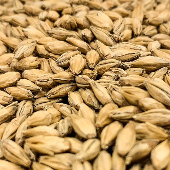 Rahr Dextrin Carapils Malt - 10 Lb US-Grown Specialty Malt for Body Mouthfeel Foam