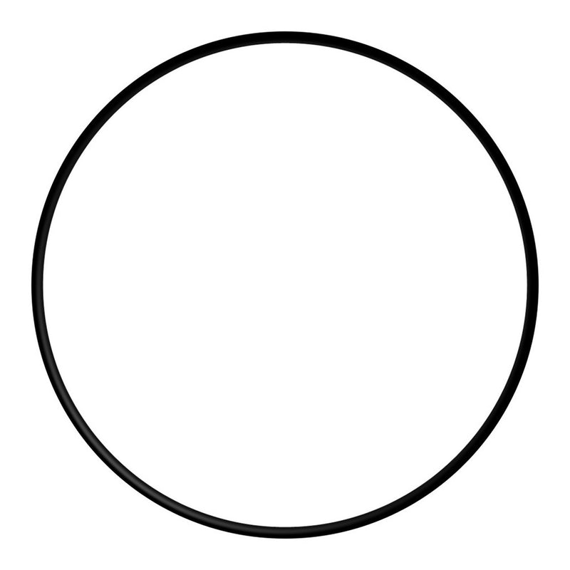 DiscO-Ring For Everpure K-Series/Imf Feeders