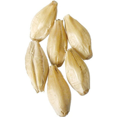 Weyermann® German Pilsner Malt - 1 lb. Bag - Premium Base Grain