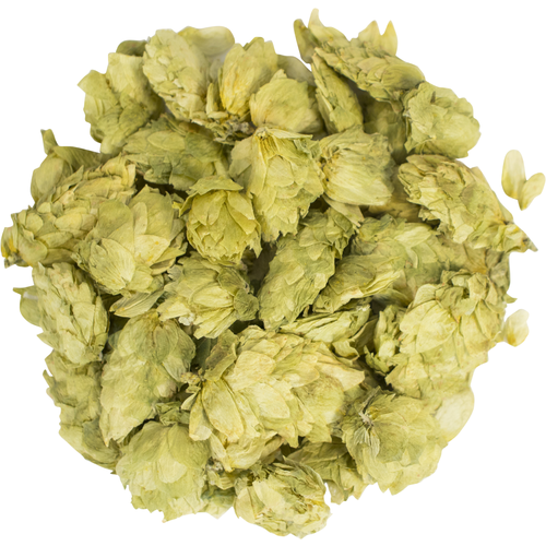 Cascade Whole Cone Hops - 1 lb Pack Premium Aroma Hops