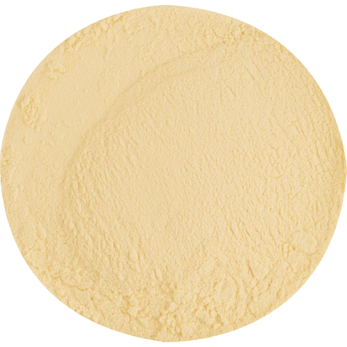 Briess Golden Light Dry Malt Extract (DME)