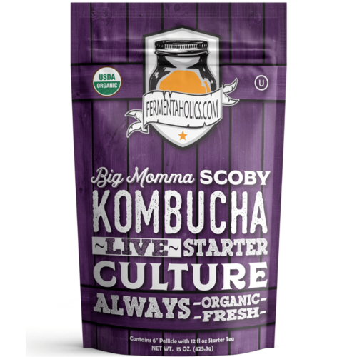 Fermentaholics Big Momma Kombucha SCOBY Starter Culture 6 Inch Pellicle With 12 oz Starter Tea