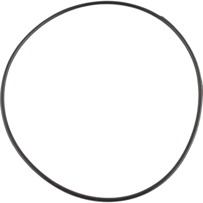 FermZilla Lid O-Ring - KL11426