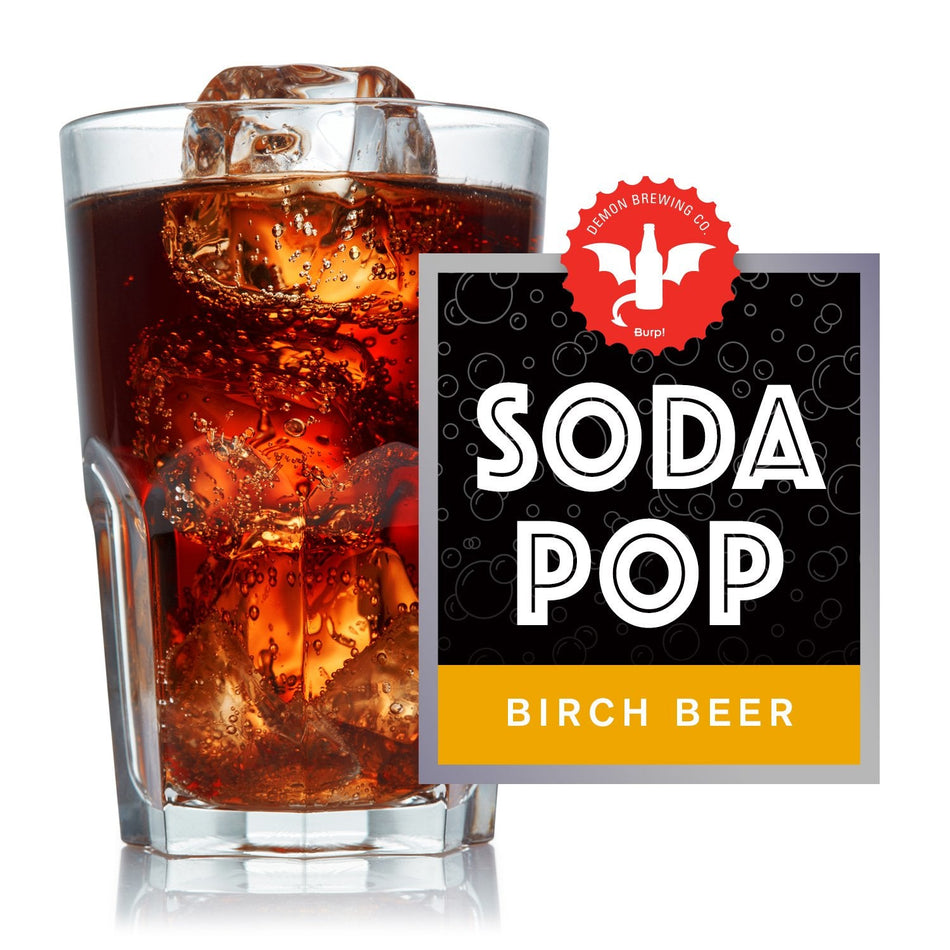 Birch Beer Soda Pop Make at Home Recipe Kit
