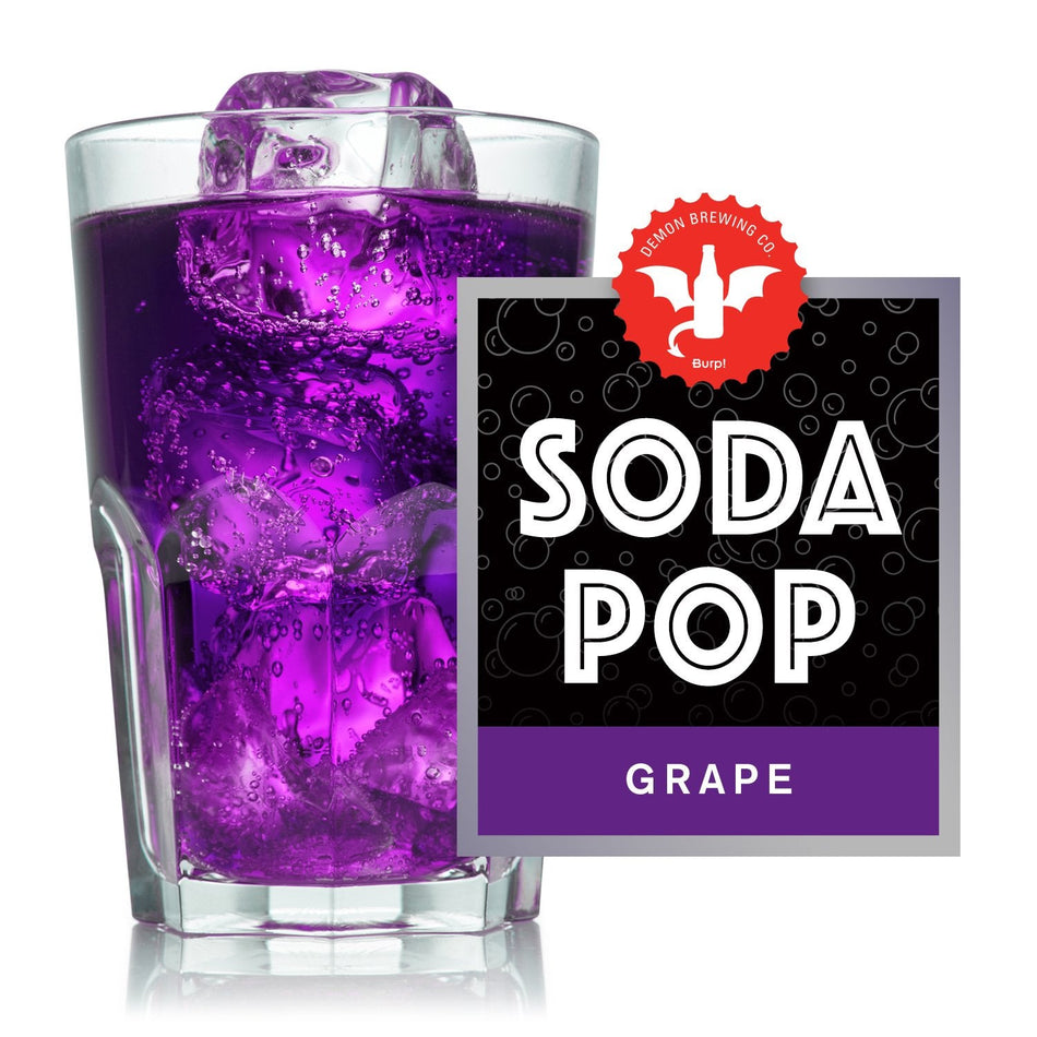 Grape Soda Pop Make at Home Recipe Kit