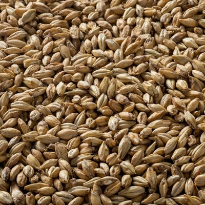 Briess Cherrywood Smoked Specialty Malt - 50 lb. Bulk Bag