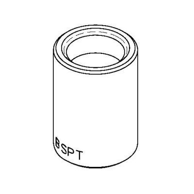T&S Brass 011196-25 Adapter - 1/2" NPT F x 1/2" BSPT F